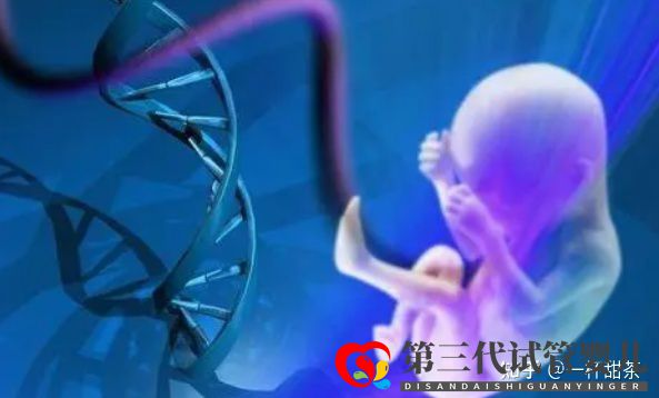 今天講解一下三代試管的基因篩查(圖2)