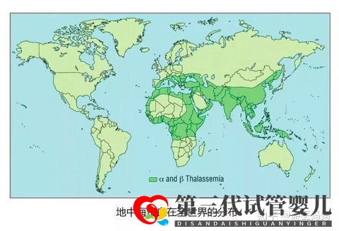 地中海貧血怎么辦泰國第三代試管避免子代遺傳!(圖2)