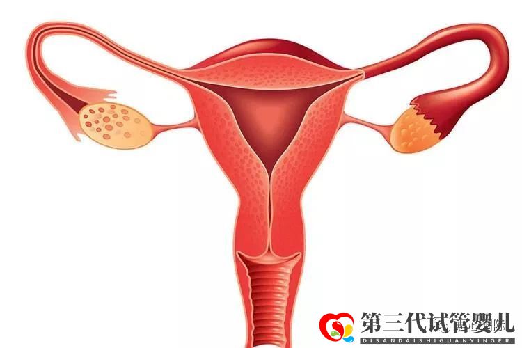 習(xí)慣性流產(chǎn)可以做供卵試管避免嗎？流產(chǎn)后多久可以做試管嬰兒？(圖1)