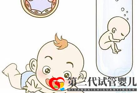取卵多為什么可移植胚胎數(shù)不多？卵泡和試管成功率的關(guān)系(圖1)