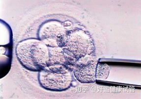 三代試管知男女的必經(jīng)之路—胚胎活檢術(圖3)