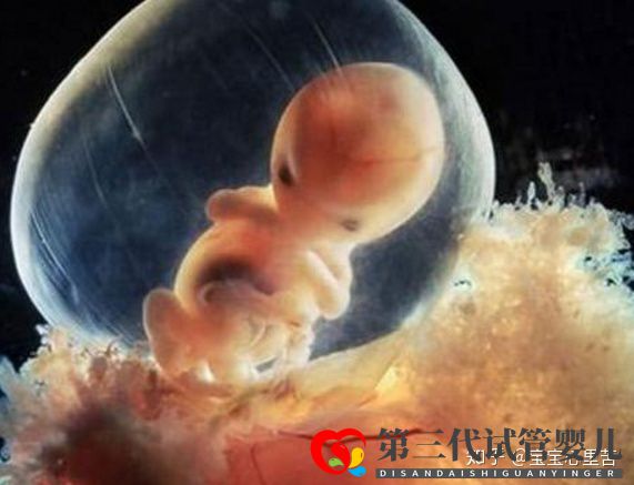 不孕夫婦獨(dú)家大揭秘第三代試管嬰兒多少錢(圖2)