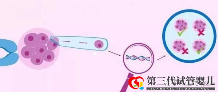 通俗易懂的一、二、三代試管嬰兒解說(shuō)(圖3)