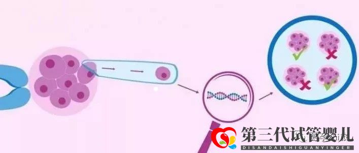 通俗易懂的一、二、三代試管嬰兒解說(shuō)(圖4)