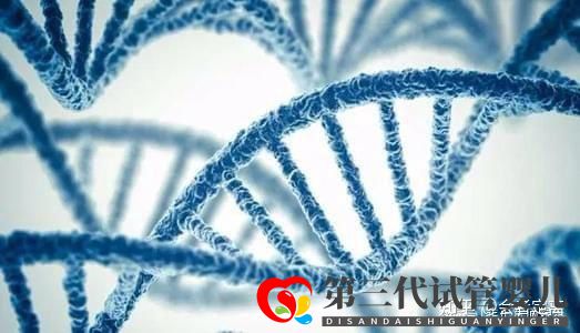 國內(nèi)助孕公司可以選性別包成功嗎(圖1)