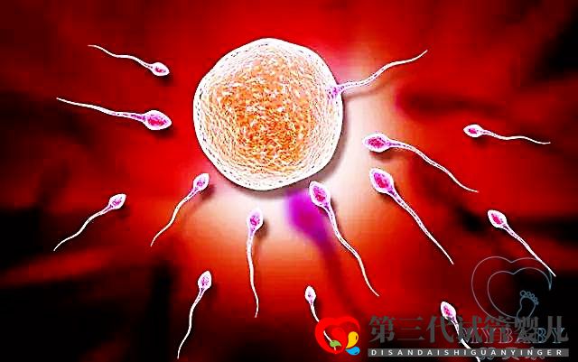 精子不動(dòng)可以做試管嗎？(圖1)