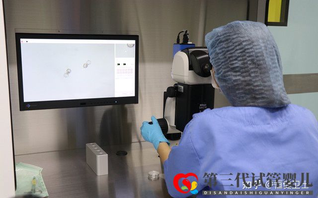 第三代試管嬰兒成功率及其費(fèi)用詳解2022(圖1)
