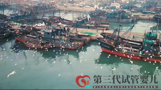 跟著王麗坤去打卡！日照這些地方火遍全國了！你去過哪個？(圖3)