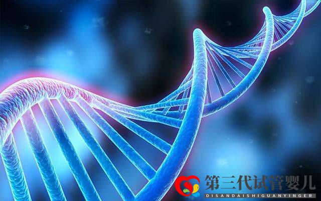 為什么父母染色體正常，胚胎染色體卻有問題？(圖2)