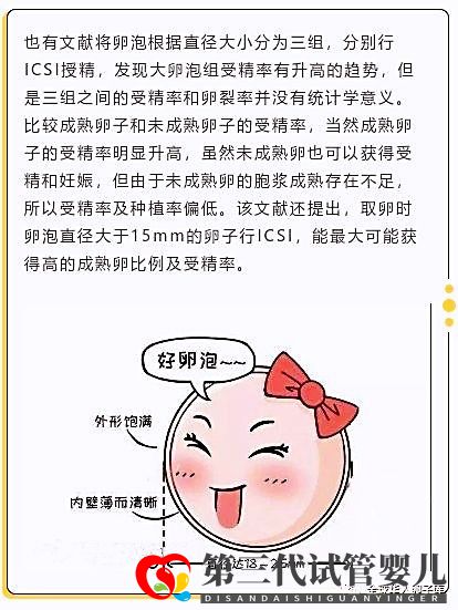 卵泡大小和試管成功率有關(guān)系嗎？大卵泡是不是越多越好？(圖3)