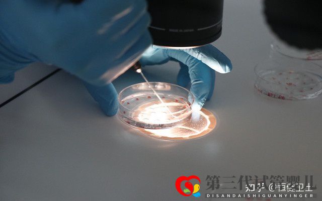 做三代試管大約多少錢一次(圖4) 做三代試管大約多少錢一次(圖4)