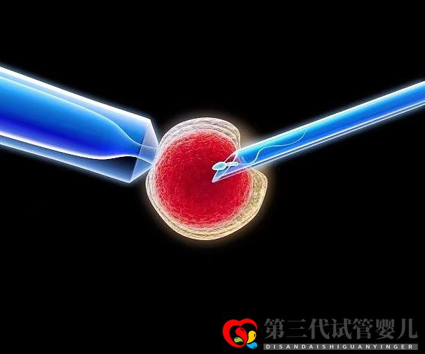 高齡女性在做三代試管時，取多少個卵子合適？(圖1)