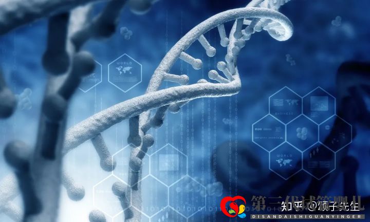 胚胎染色體異常究竟是什么原因(圖4)