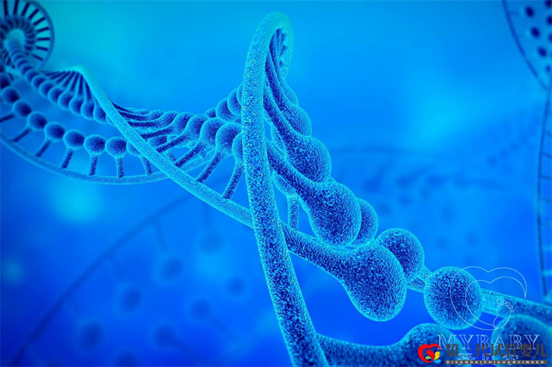 染色體異常能做試管嬰兒?jiǎn)?？試管嬰兒要查染色體嗎？(圖1)
