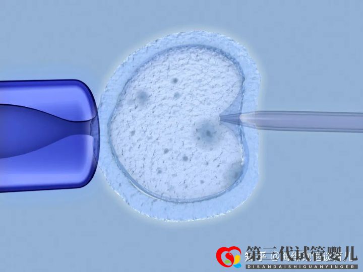 試管嬰兒1代、2代、3代、4代哪個最好真實(shí)操作過...(圖11)