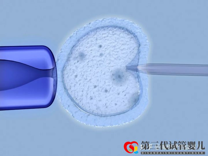 試管嬰兒1代、2代、3代、4代哪個最好真實(shí)操作過...(圖12)