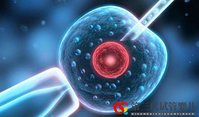 試管嬰兒取卵前后6大注意事項(xiàng)你知道多少？(圖1)