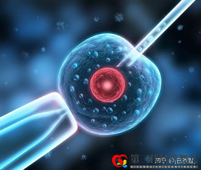 試管三代和四代的區(qū)別是什么？哪個好？
