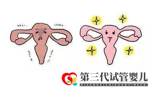 女性46歲高齡做試管嬰兒成功率怎么樣(圖1) 女性46歲高齡做試管嬰兒成功率怎么樣(圖1)