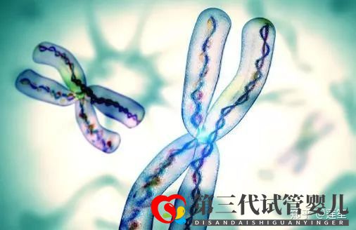 35歲以后懷孕的幾率有多大怎樣提高懷孕幾率(圖6) 35歲以后懷孕的幾率有多大怎樣提高懷孕幾率(圖6)