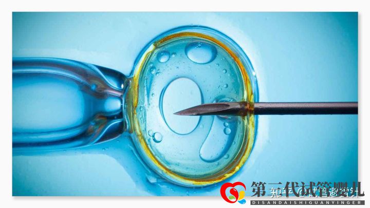 試管嬰兒費(fèi)用大約多少 ——最全面的費(fèi)用詳解(...(圖2) 試管嬰兒費(fèi)用大約多少 ——最全面的費(fèi)用詳解(...(圖2)