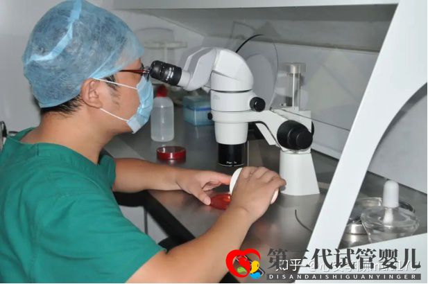 人工授精跟試管嬰兒的區(qū)別(圖4)
