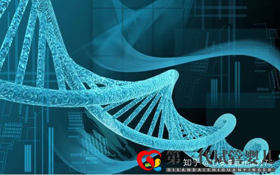 人工授精跟試管嬰兒的區(qū)別(圖6)
