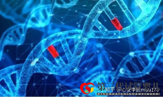 人工授精跟試管嬰兒的區(qū)別(圖7)