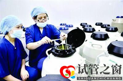 做試管嬰兒的全過程做三代試管嬰兒預備10萬夠不夠(圖11) 做試管嬰兒的全過程做三代試管嬰兒預備10萬夠不夠(圖11)