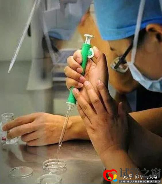 直擊試管嬰兒的過程(圖8) 直擊試管嬰兒的過程(圖8)