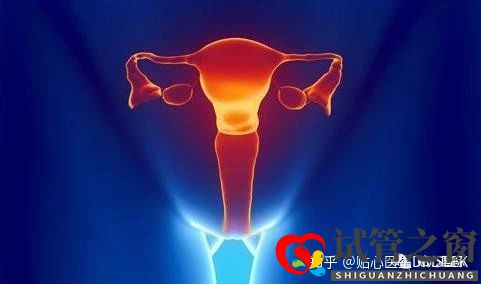 卵巢早衰做試管嬰兒的成功率(圖1)