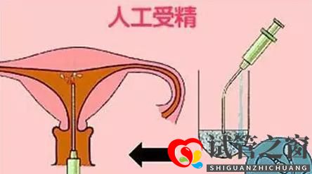 試管之窗:試管嬰兒與人工授精的區(qū)別是什么，成功率分別是多少？(圖1)