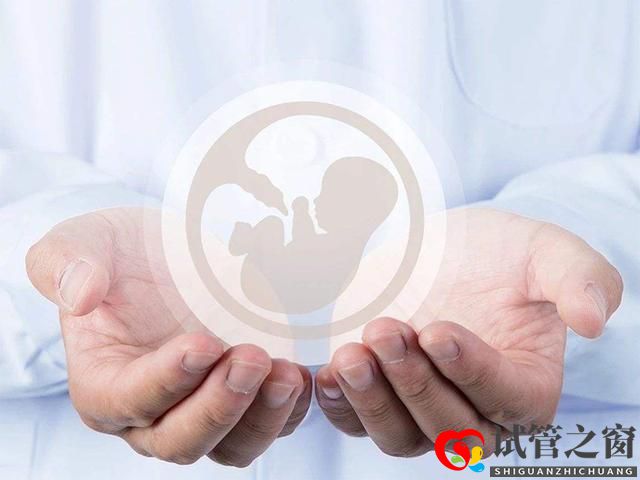試管嬰兒容易做嗎？成功的概率高嗎？？有此打算的美女看過來(圖1)