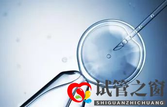 試管嬰兒的成功率是多少？怎么樣做可以提高成功率？(圖1)
