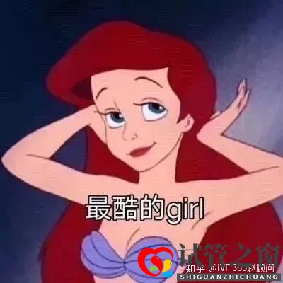 1代、2代、3代試管,有什么區(qū)別(圖1)