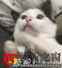 1代、2代、3代試管,有什么區(qū)別(圖9)