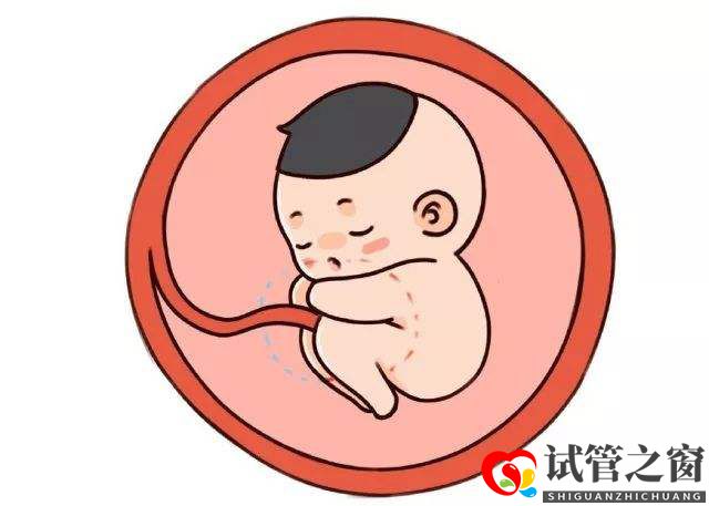 37歲還能做試管嬰兒，能成功懷上寶寶嗎？(圖2)