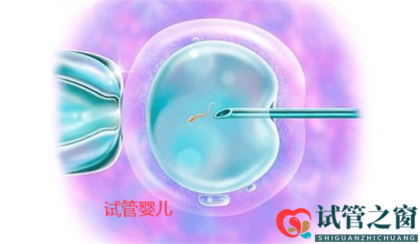 6次試管嬰兒失敗，想放棄，如果沒(méi)有孩子會(huì)怎么樣呢(圖1)