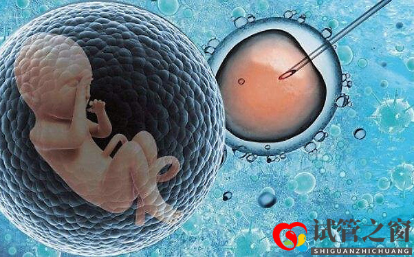 203040歲的女性做試管，成功率有多少？(圖1)