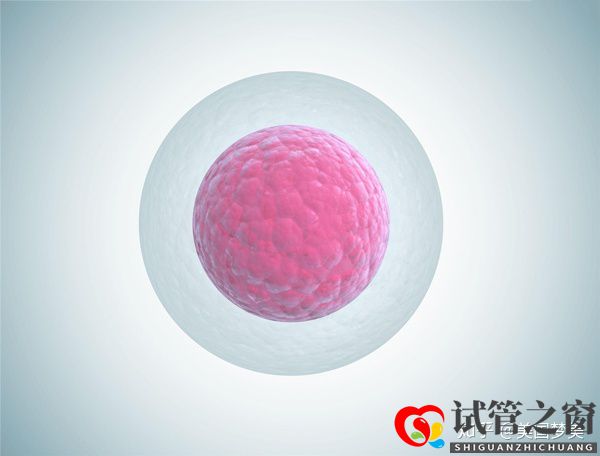 35歲女性做美國試管嬰兒成功率評估的三個關鍵點(圖4) 35歲女性做美國試管嬰兒成功率評估的三個關鍵點(圖4)