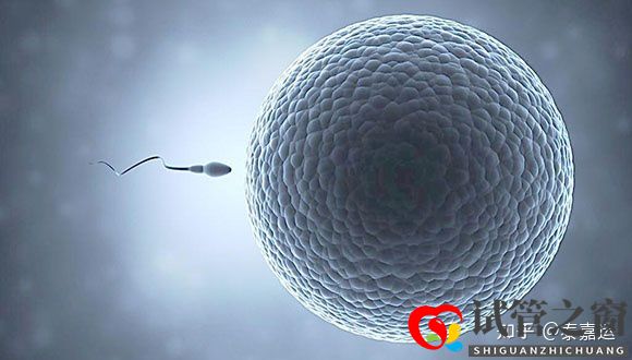 40歲做試管嬰兒生三胎,需要做足哪些準(zhǔn)備(圖3) 40歲做試管嬰兒生三胎,需要做足哪些準(zhǔn)備(圖3)