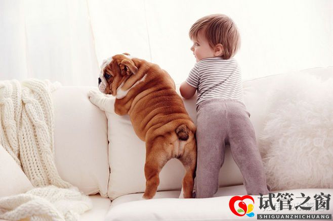 40歲做試管嬰兒生三胎,需要做足哪些準(zhǔn)備(圖1) 40歲做試管嬰兒生三胎,需要做足哪些準(zhǔn)備(圖1)