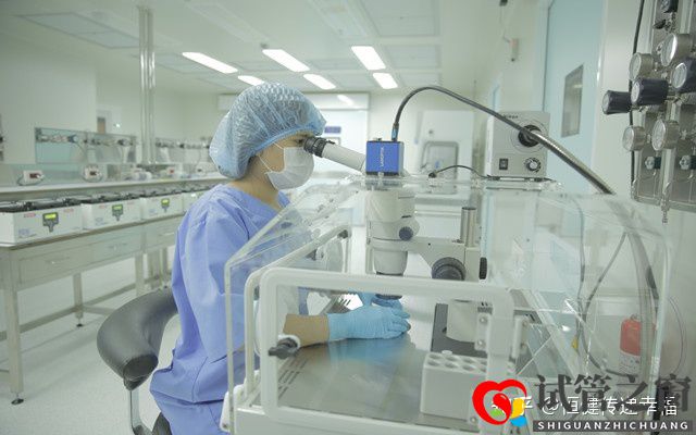 試管之窗:2022做三代試管嬰兒費(fèi)用明細(xì)有哪些(圖5)