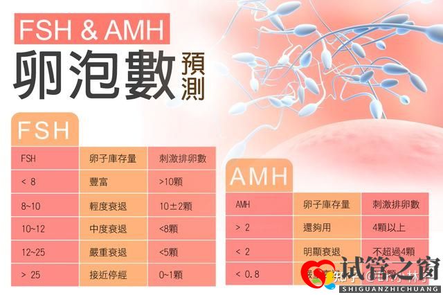兩分鐘教你學(xué)會計算試管嬰兒成功率,再也不用被人忽(圖1)