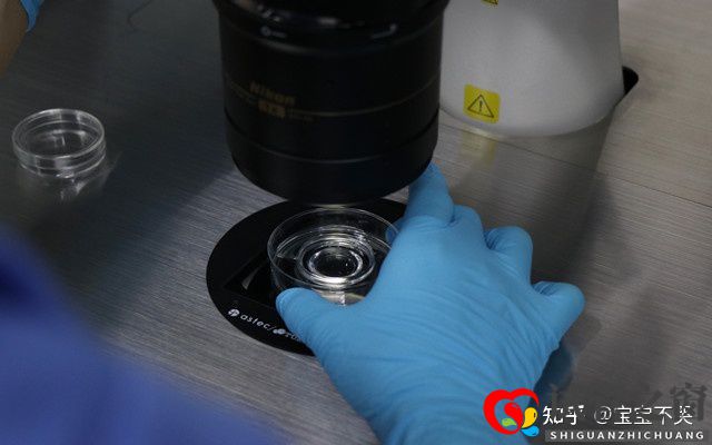 柳州三代試管嬰兒醫(yī)院費用貴嗎(圖2) 柳州三代試管嬰兒醫(yī)院費用貴嗎(圖2)
