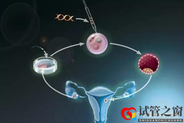 你要的試管嬰兒流程時(shí)間表在這里!(圖3) 你要的試管嬰兒流程時(shí)間表在這里!(圖3)