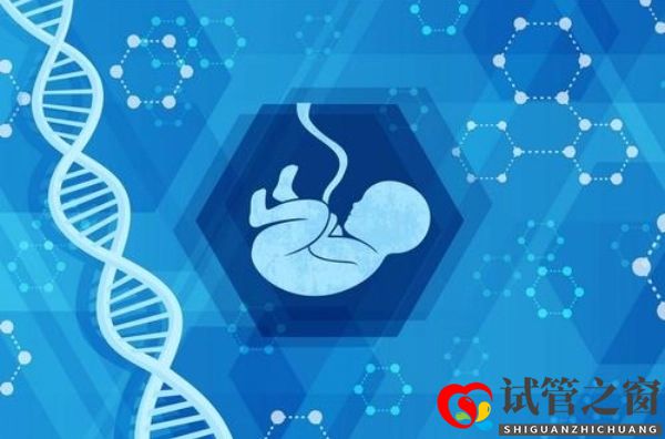 太診國際醫(yī)院馬庫斯醫(yī)生：能夠決定試管嬰兒成敗與否的細(xì)節(jié)(圖1)