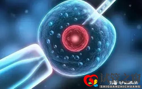 試管多次失敗 這些原因你找到了嗎(圖7)