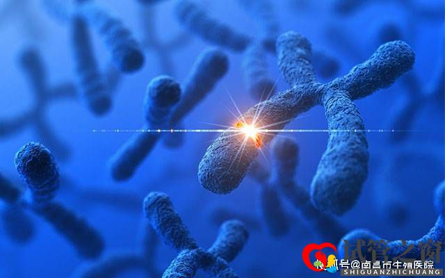 檢查出染色體異常還能要孩子嗎？染色體異常能做試管嬰兒嗎？(圖1)