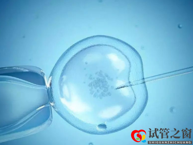 泰國試管嬰兒成功率高